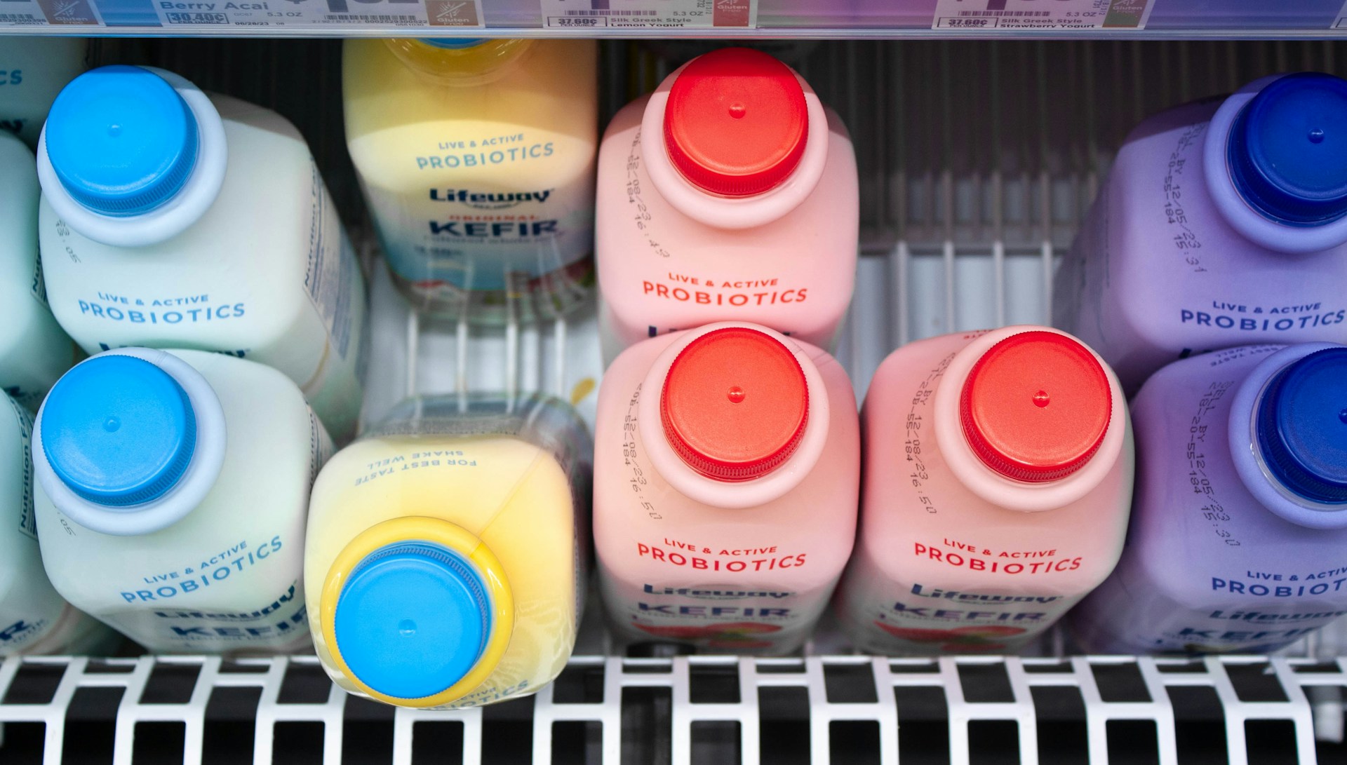 Kefir for Dogs: A Probiotic Boost for Your Furry Friend
