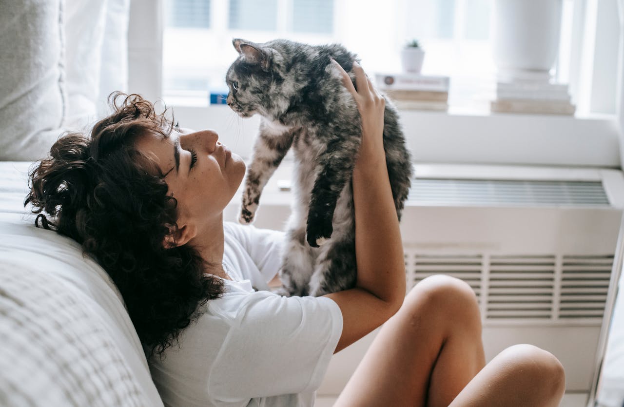 The Ultimate Guide to Cat Cuddles: Bonding with Your Feline