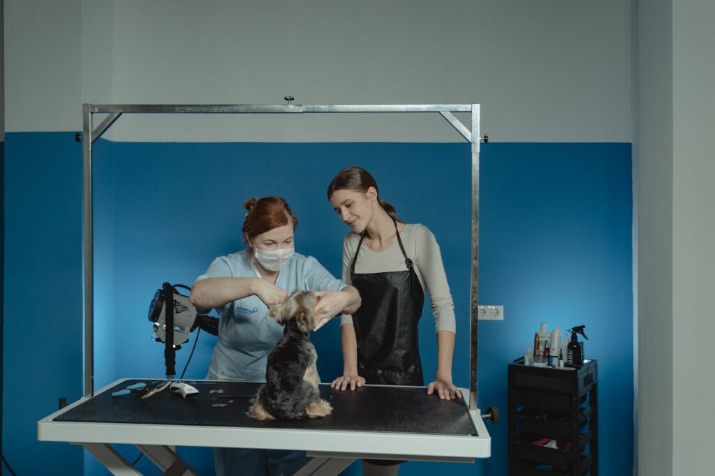 Dog Grooming Career Overview