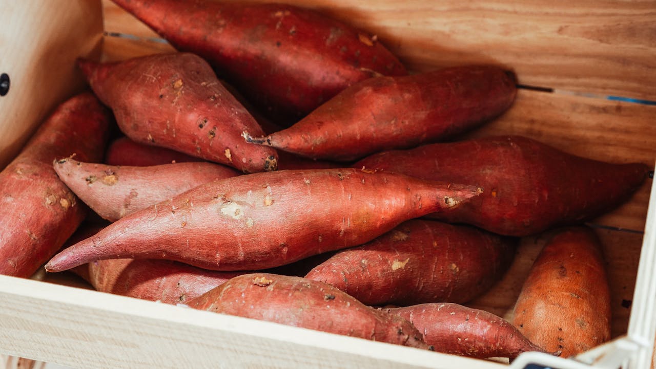 Can Cats Eat Sweet Potatoes Safely?