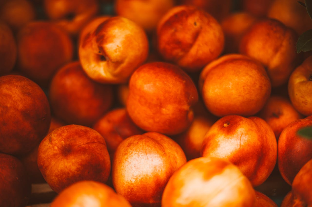 Can My Dog Eat Nectarines? Exploring This Sweet Treat