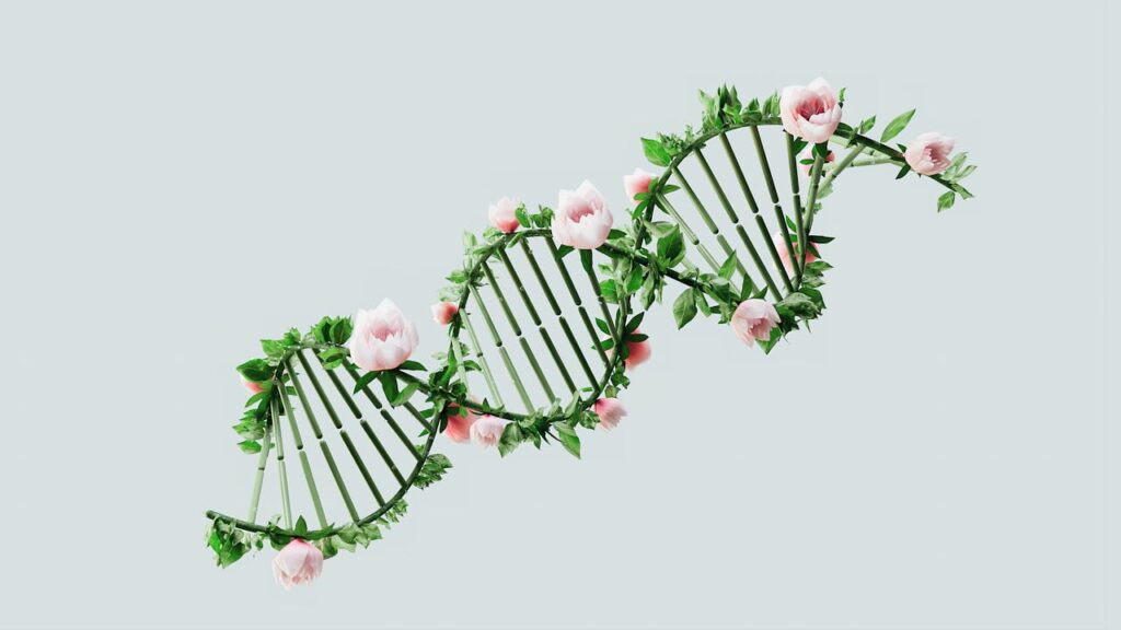 Human vs. Feline Genetics