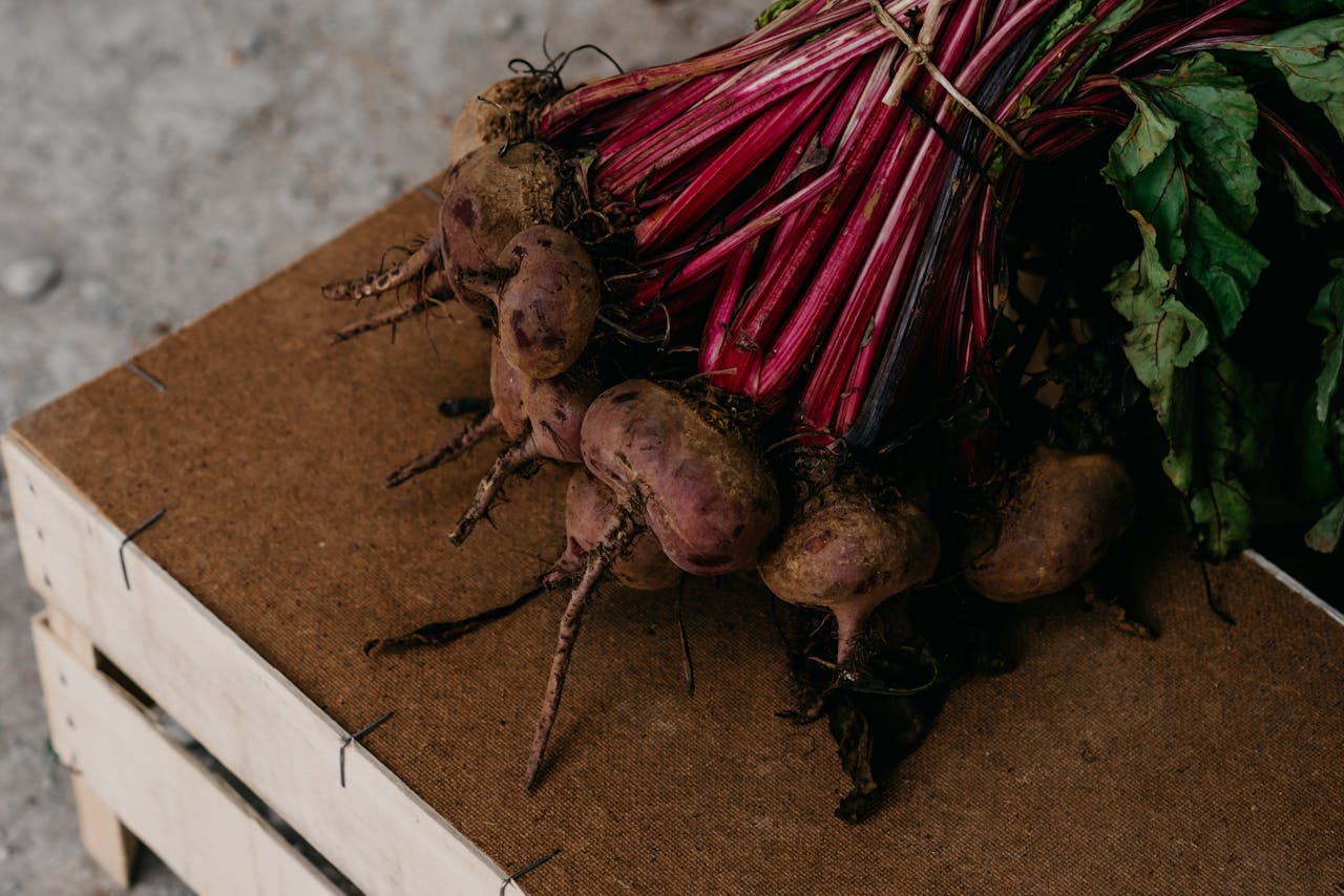 Can My Dog Eat Beets? Exploring the Health Perks Safely