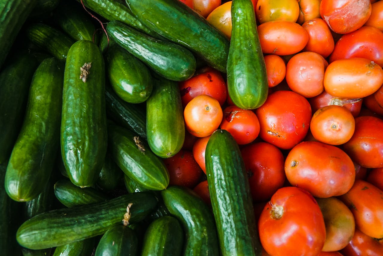 Can Cats Eat Cucumbers? What You Need to Know