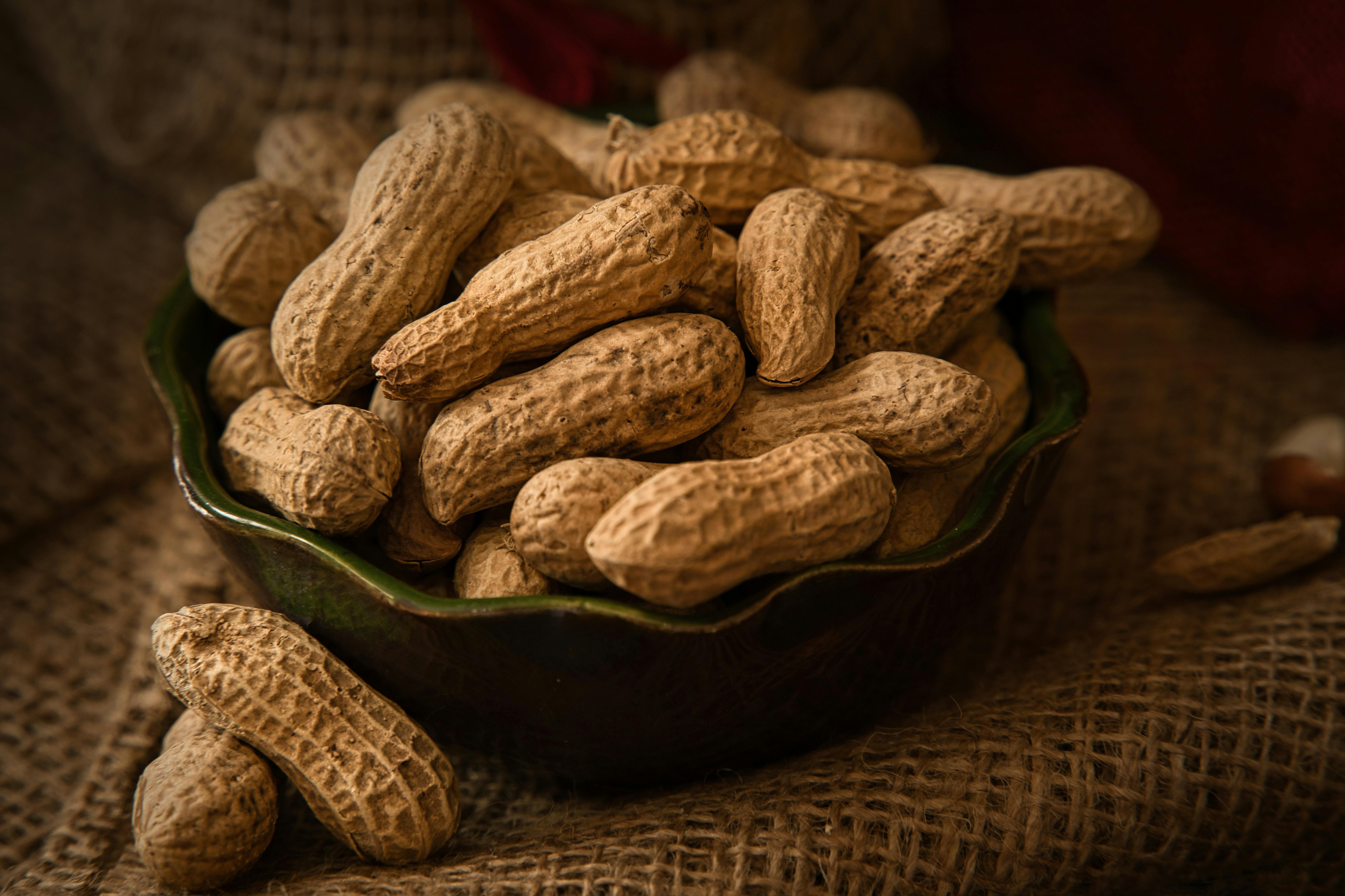 Peanut Butter Health Benefits for Dogs