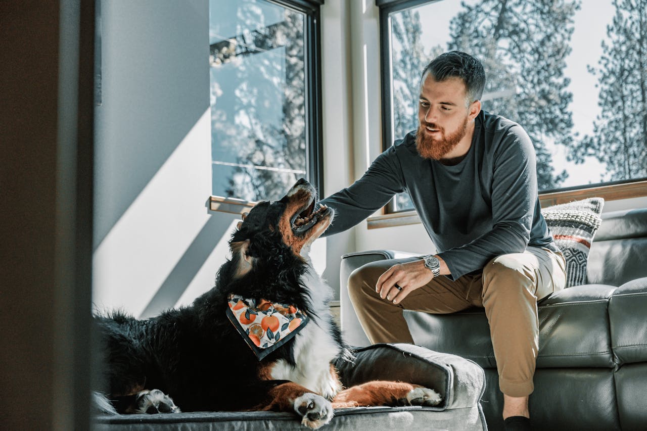 Dogs and Humans: A Special Bond Explored