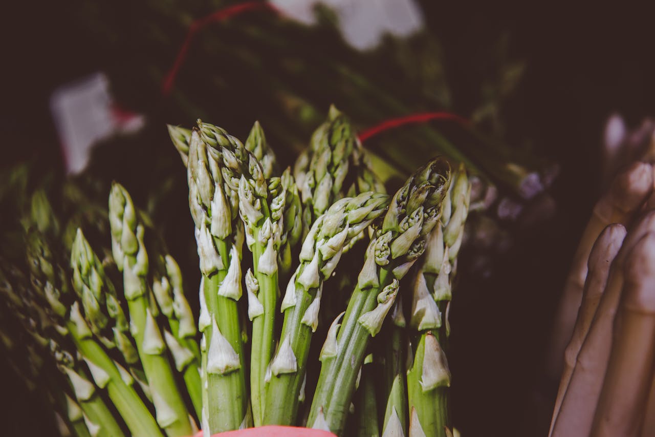 Can Dogs Eat Asparagus? Exploring Its Safety & Perks