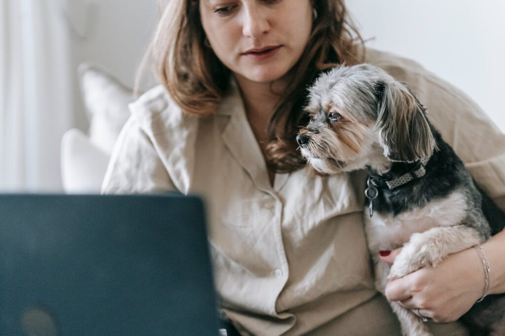 Morkie Temperament