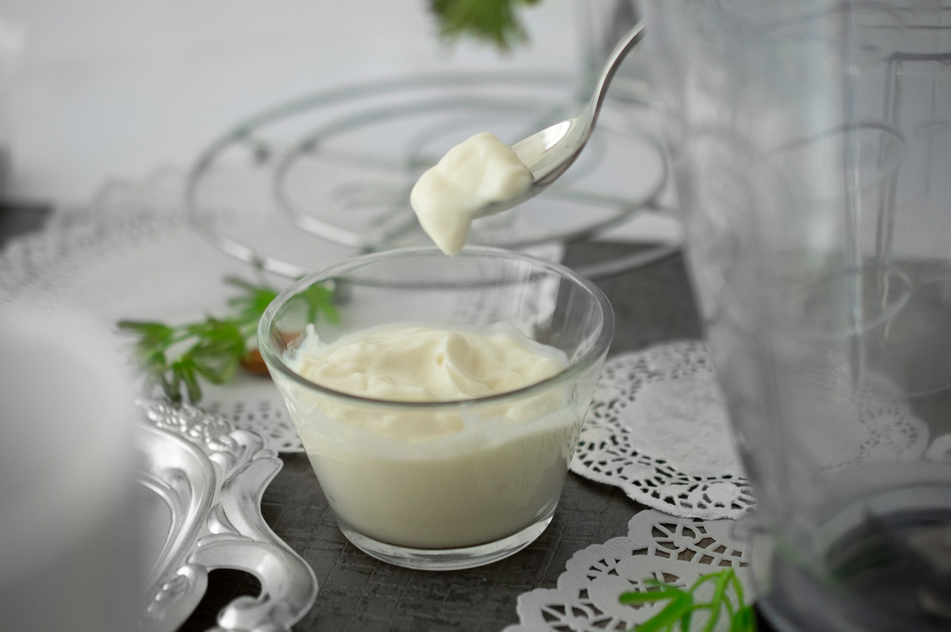 Can My Dog Eat Mayo? Understanding the Risks and Safety